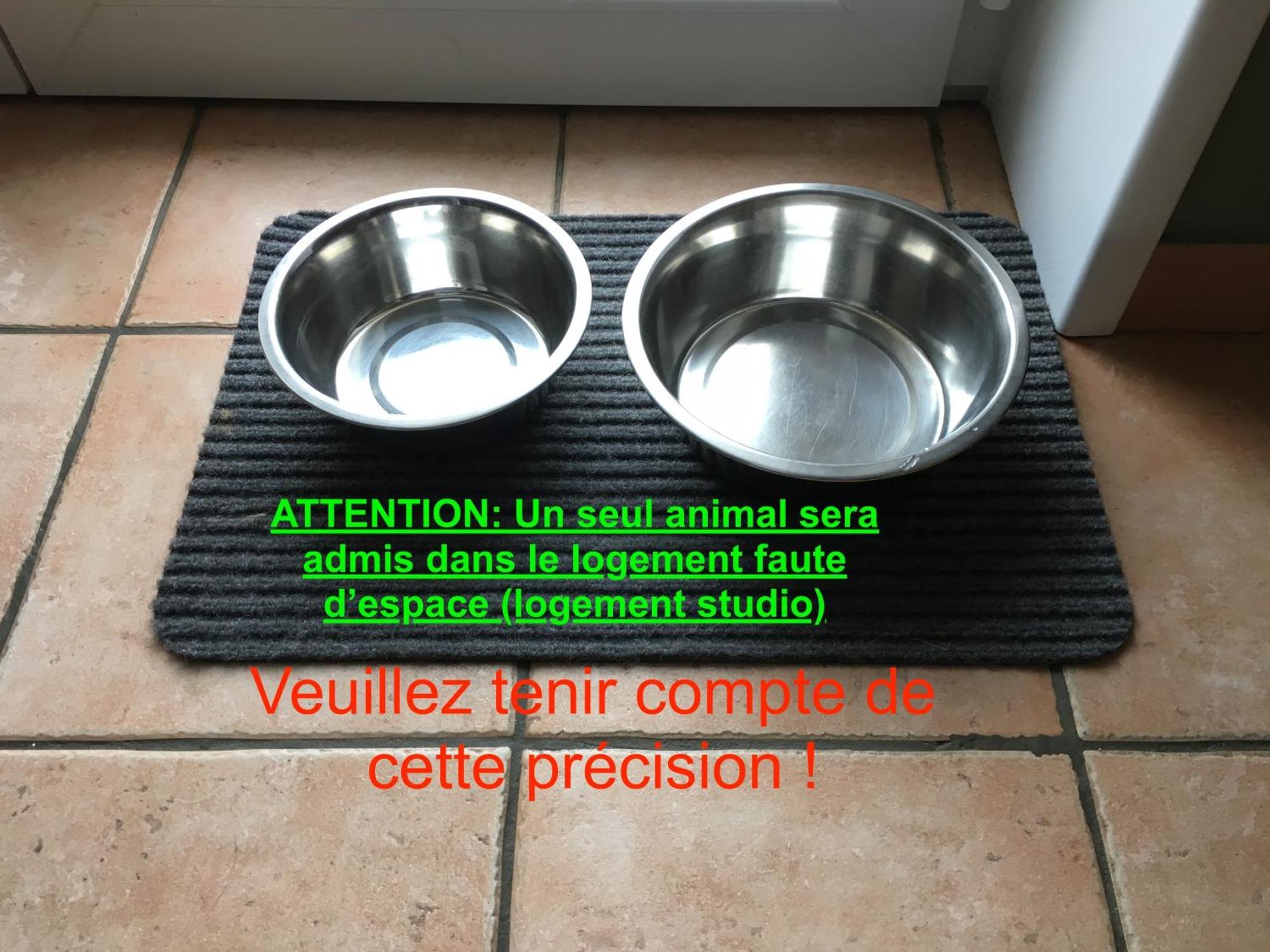 Studio "Cote Mer" La Naturelle - Wimereux Dış mekan fotoğraf